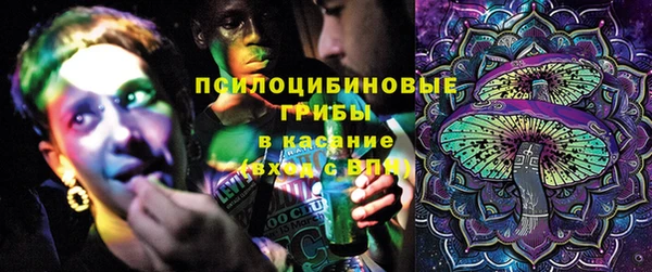 винт Белокуриха