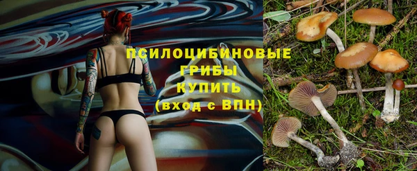 2c-b Белоозёрский