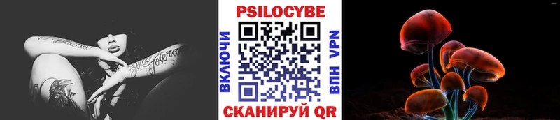 блэк спрут ONION Свободный Галлюциногенные грибы Psilocybe