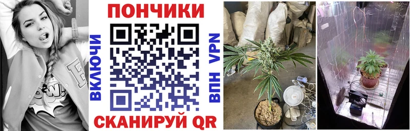 Конопля семена  MEGA ссылка  Свободный 